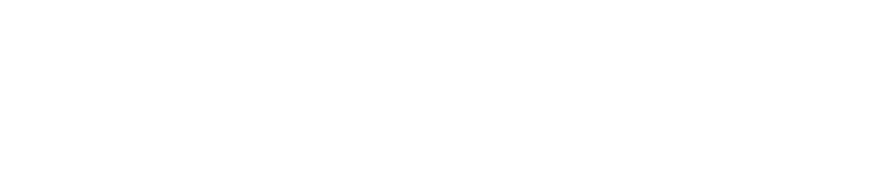 Nissan Chemical America Corporation